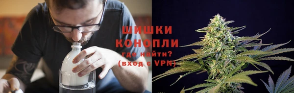 трава Переславль-Залесский