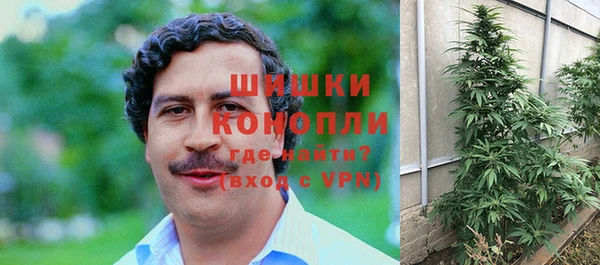 трава Переславль-Залесский