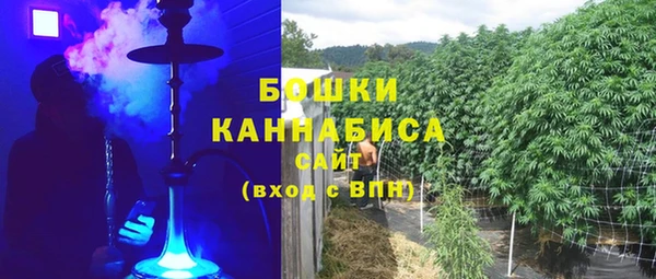 дурь Пестово