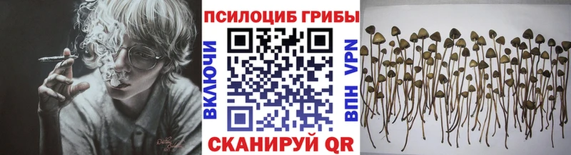 Галлюциногенные грибы ЛСД  Кызыл 